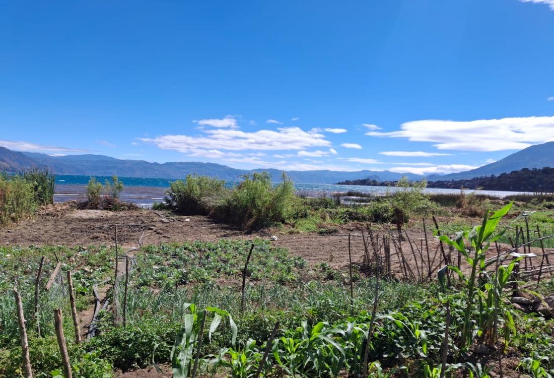 0 , 0 ,0,Land,For Sale,0,1012
