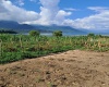0 , 0 ,0,Land,For Sale,0,1012