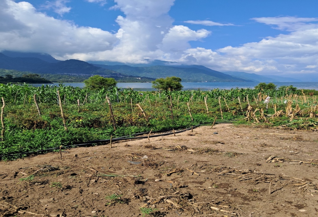 0 , 0 ,0,Land,For Sale,0,1012