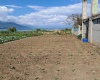 0 , 0 ,0,Land,For Sale,0,1012