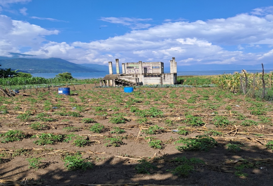 0 , 0 ,0,Land,For Sale,0,1012