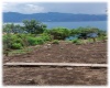 0 , 0 ,0,Land,For Sale,0,1015