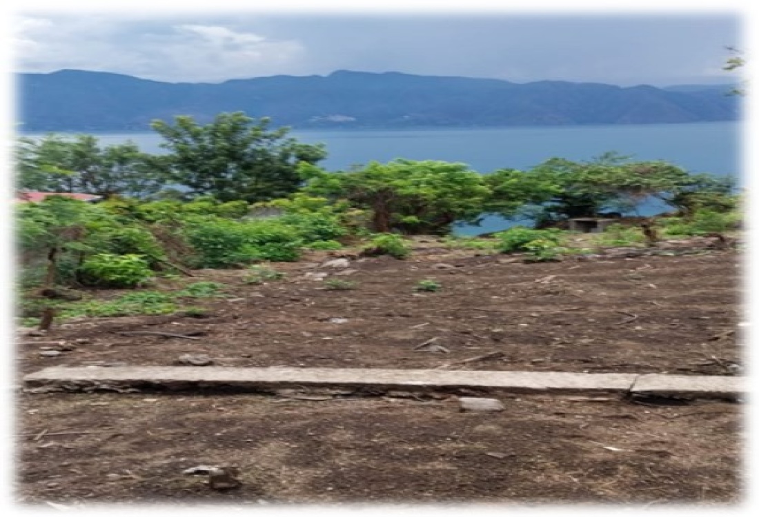 0 , 0 ,0,Land,For Sale,0,1015