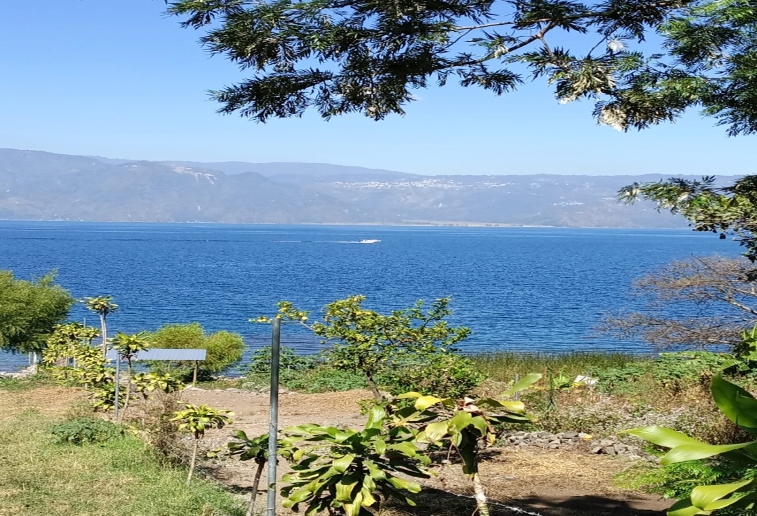 0 , 0 ,0,Land,For Sale,0,1015