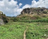 Sololá, 0 , 0 ,0,Land,For Sale,0,1001