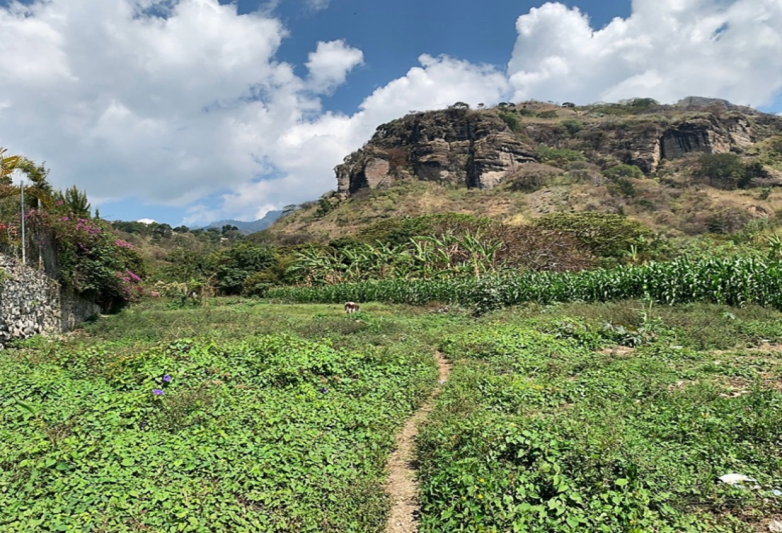 Sololá, 0 , 0 ,0,Land,For Sale,0,1001