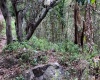 Sololá, 0 , 0 ,0,Land,For Sale,0,1001