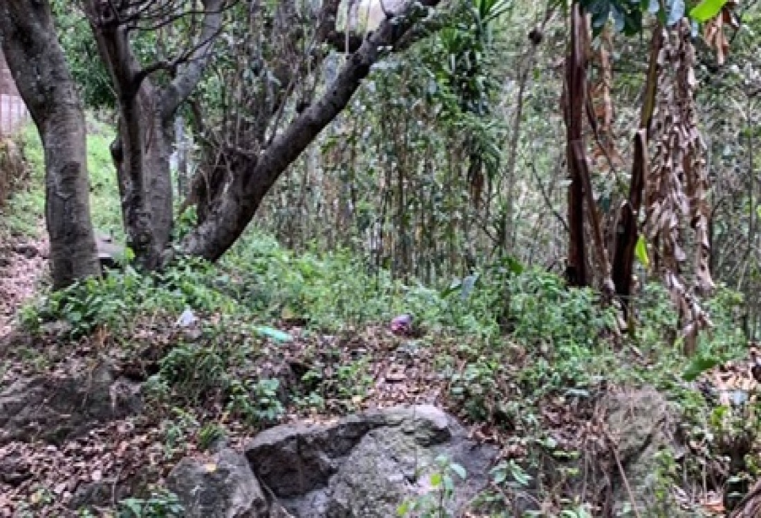 Sololá, 0 , 0 ,0,Land,For Sale,0,1001