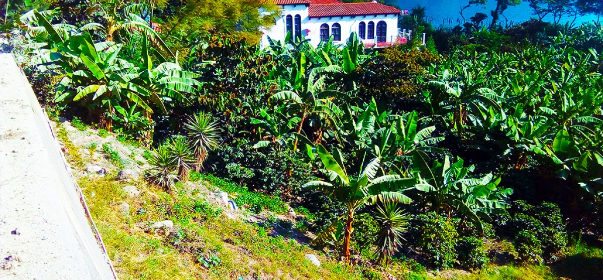 San Juan La Laguna